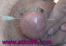 Electro stimulation of dick and eggs with needles