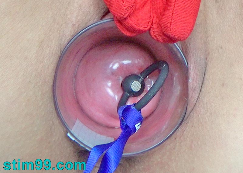 Long plug retains semen inside the uterus for better insemination