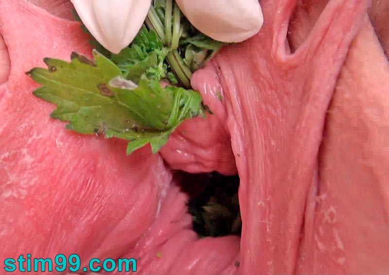 Crazy female with nettles into pee hole and pussy