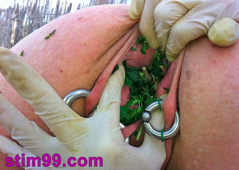 Self torture of nipples and pussy with stinging nettle